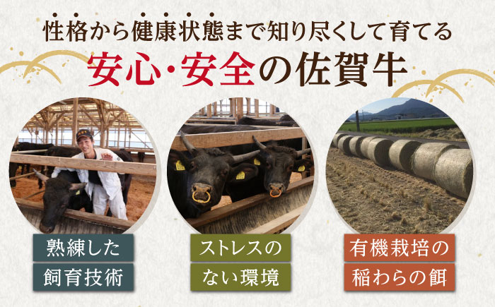 佐賀牛 A5 ヒレ サイコロステーキ 250g【山下牛舎】黒毛和牛 フィレ ヒレ肉 [HAD134]