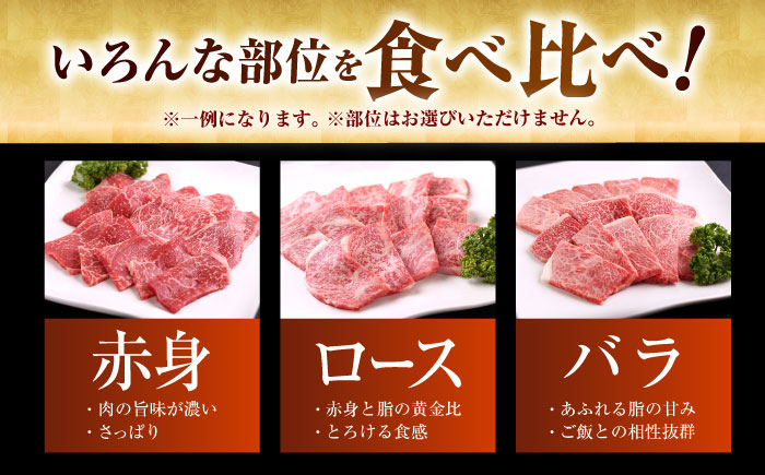 【訳あり】 佐賀牛 焼肉セット 500g 【山下牛舎】 [HAD165]