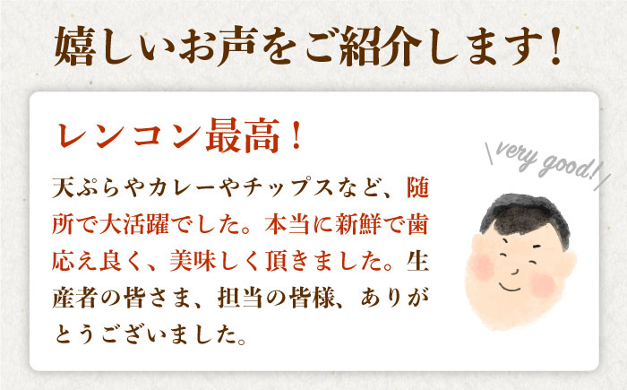 【年末発送 ※12月25日～27日発送】＜地元江北町産＞泥付き 蓮根 3kg【百武青果】 [HAE015]