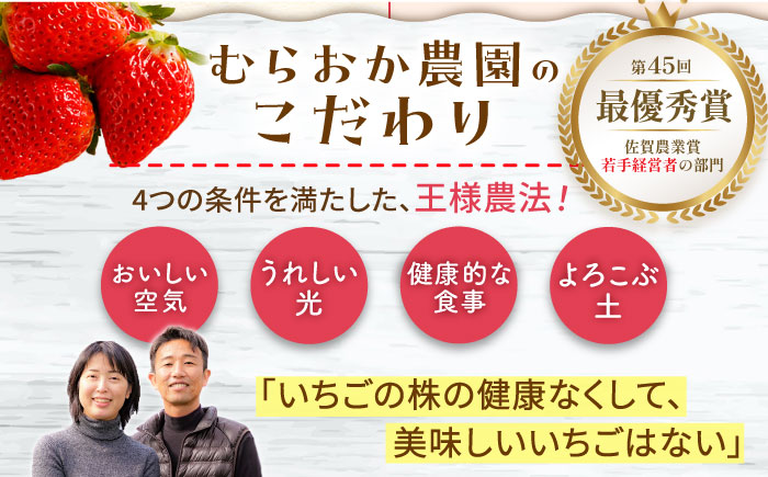 【11月下旬〜12月発送】王様のいちご さがほのか 800g（400g×2箱）【むらおか農園】[HAF002]