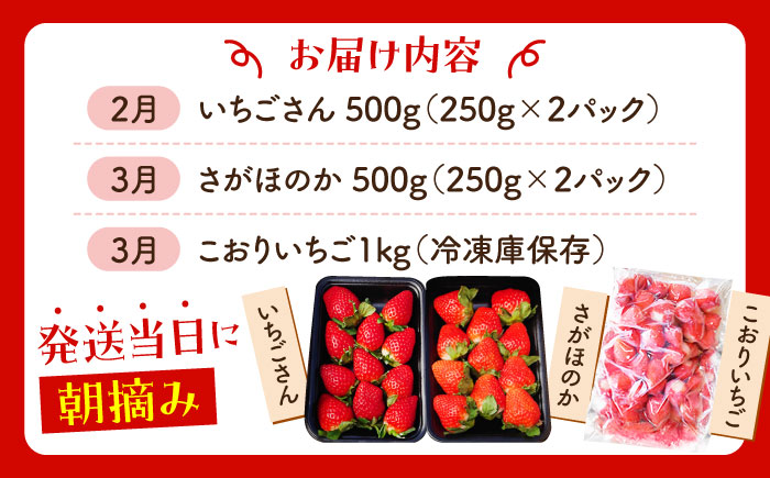 【先行予約】【全3回定期便】いちご食べ尽くし定期（さがほのか いちごさん こおりいちご）【むらおか農園】 [HAF027]