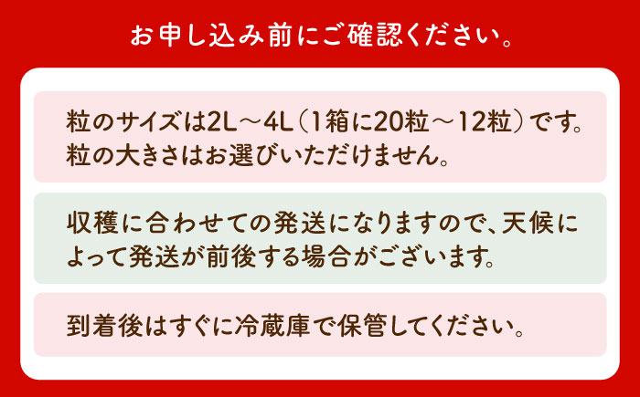 【先行予約】【年末発送】王様のいちご さがほのか 800g（400g×2箱）【むらおか農園】 [HAF029]
