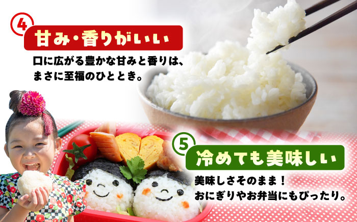 令和7年産 新米 さがびより 精米 5kg 【佐賀県江北町産】　米 白米 [HAF030]