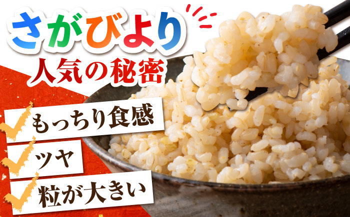 ＜先行予約＞【全12回定期便】特別栽培米 さがびより 玄米 10kg【だいちの家】 [HAG021]