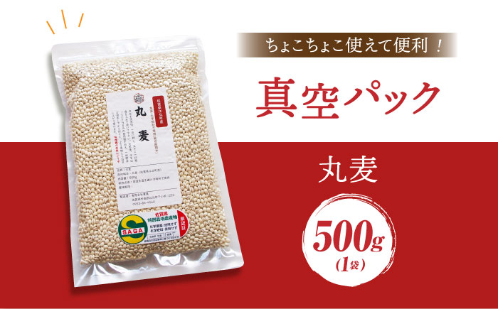 【12/23入金まで年内発送】【栽培期間中農薬不使用】丸麦 500g＜1等麦使用＞江北町産 サチホゴールデン【葦農】 [HAJ012] 麦