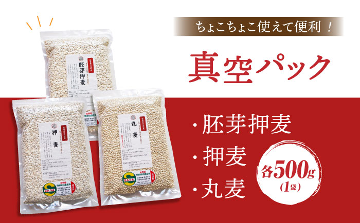 【12/23入金まで年内発送】【栽培期間中農薬不使用】麦詰合 500g×3（押麦、胚芽押麦、丸麦）【葦農】 [HAJ013] 麦