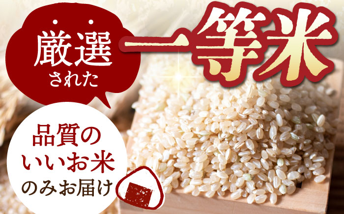 【全6回定期便】江北町産 1等米 夢しずく 玄米5kg（特別栽培米）【葦農】 [HAJ017]
