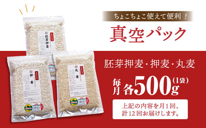 【全12回定期便】栽培期間中農薬不使用 麦詰合500g×3（押麦・胚芽押麦・丸麦）【葦農】 [HAJ033] 麦