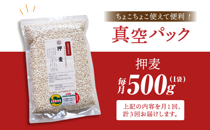 【全3回定期便】栽培期間中農薬不使用 押麦500g（1等麦使用）【葦農】 [HAJ037] 麦