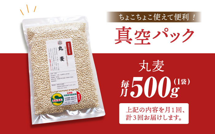 【全3回定期便】栽培期間中農薬不使用 丸麦500g（1等麦使用）【葦農】 [HAJ040] 麦
