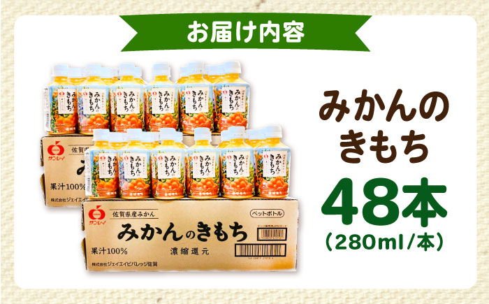 みかんのきもち 2箱セット（280ml×48本）【JAさが 杵島支所】 [HAM003] みかん