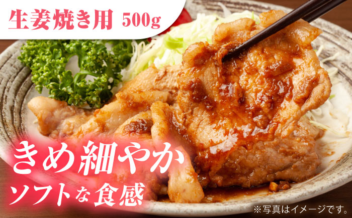 肥前さくらポーク 詰め合わせA【JAさが 杵島支所】 [HAM024] 豚肉