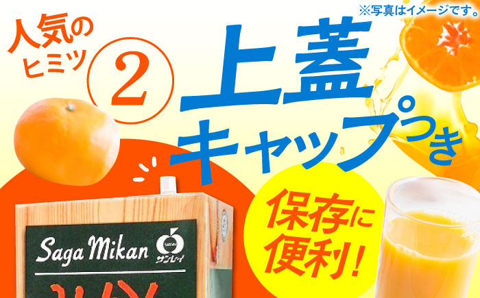 【12/15入金まで年内発送】さがみかん100　1L×6本【JAさが 杵島支所】果汁100% 濃縮還元 [HAM039] みかん