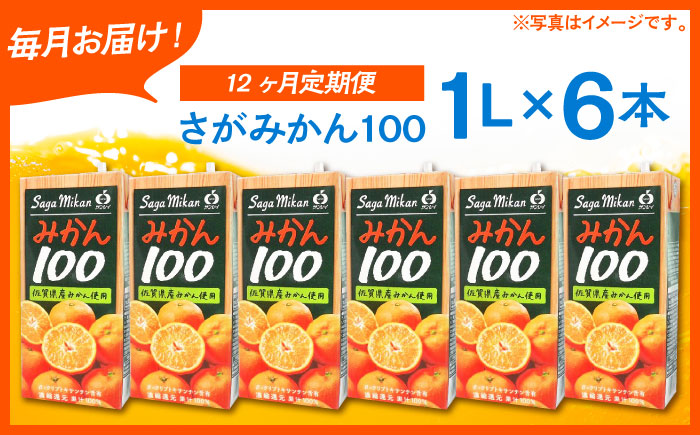 ＜全12回定期便＞ 【佐賀県産温州みかん使用】さがみかん100　総計72本（1L×6本）【JAさが 杵島支所】みかん 果汁100% 濃縮還元 [HAM042]