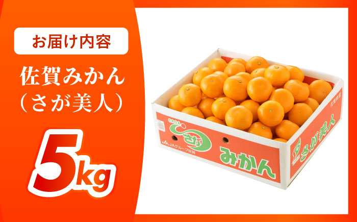 佐賀みかん （さが美人）5kg 【JAさが 杵島支所】 みかん 佐賀 温州みかん さが美人 [HAM086]