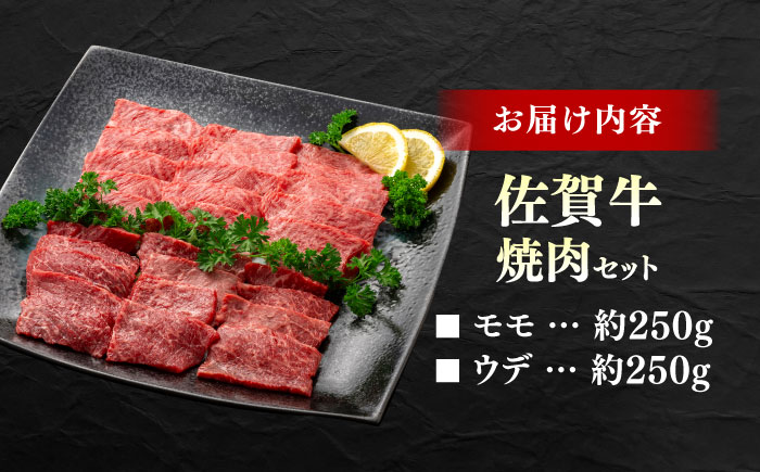 佐賀牛 焼肉セット C モモ ウデ 約500g 【JAさが 杵島支所】 [HAM093]