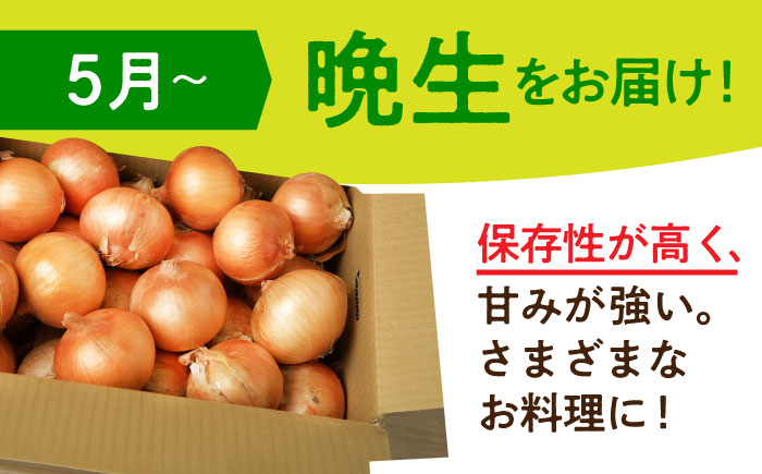 【先行予約】【訳あり】＜2026年3月下旬以降発送＞佐賀県産 玉ねぎ 10kg【八丁屋】新玉ねぎ 晩生 [HAO007]