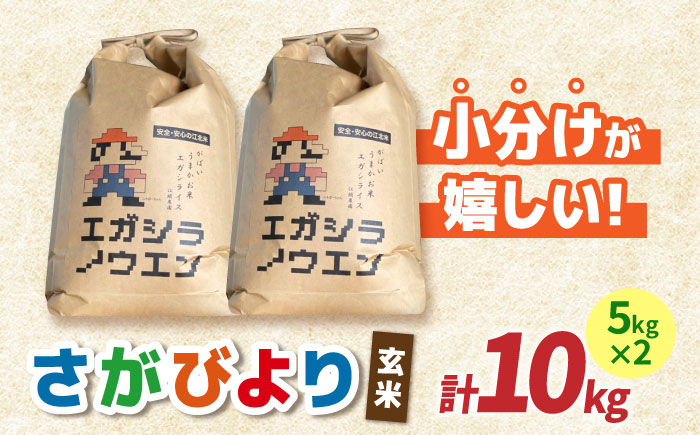 【先行予約】令和7年産 がばいうまかエガシライス（さがびより）玄米 10kg（5kg×2袋）【江頭農園】 [HAU003]