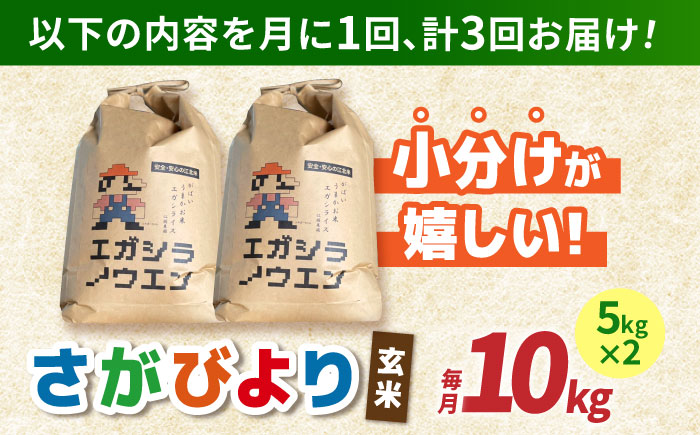 【全3回定期便】がばいうまか エガシライス（さがびより）玄米 10kg（5kg×2袋）【江頭農園】 [HAU006]