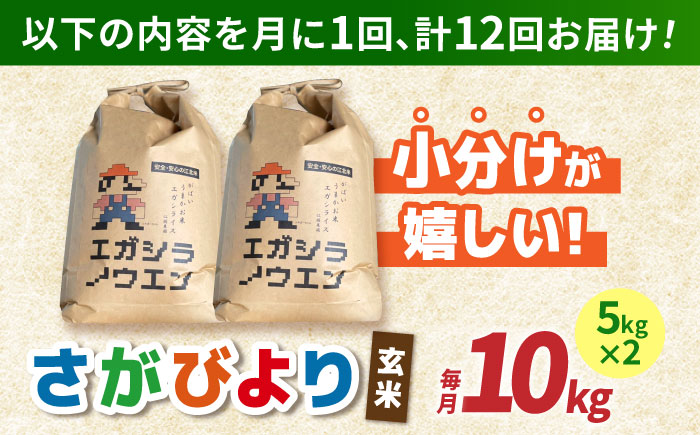 【全12回定期便】がばいうまか エガシライス（さがびより）玄米 10kg（5kg×2袋）【江頭農園】 [HAU008]