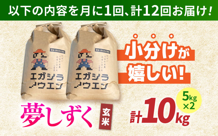 【全12回定期便】がばいうまか エガシライス（夢しずく）玄米 10kg（5kg×2袋）【江頭農園】 [HAU011]