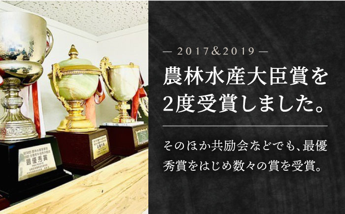 【2度の農林水産大臣賞】佐賀牛 リブロース スライス 500g【田中畜産牛肉店】 [HBH005]