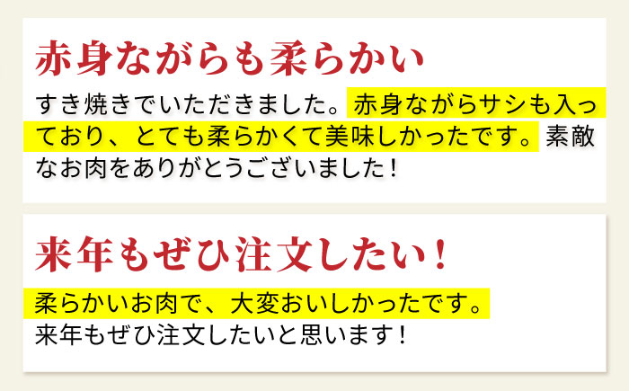 【2度の農林水産大臣賞】佐賀牛 赤身スライス 300g【田中畜産牛肉店】 [HBH056]