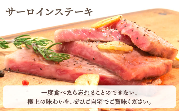 【全3回定期便】おふたりさま向け 佐賀牛 ロース 定期【田中畜産牛肉店】 [HBH078]