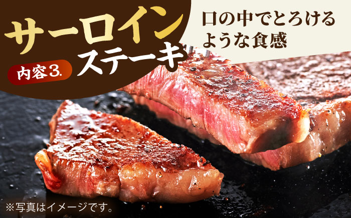 【全12回定期便】4人向け 佐賀牛 ロース 定期【田中畜産牛肉店】 [HBH083]