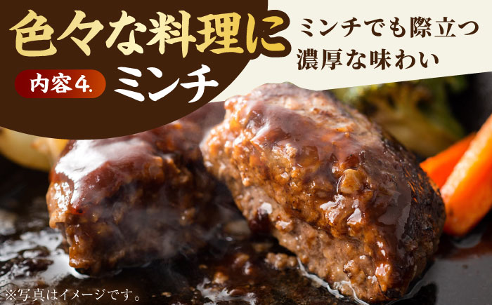 【全12回定期便】4人家族向け 佐賀牛 普段使いセットB【田中畜産牛肉店】 [HBH117] 牛肉