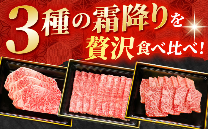 【全6回定期便】【隔月発送】佐賀牛 プレミアム霜降り定期【田中畜産牛肉店】 [HBH119] 牛肉