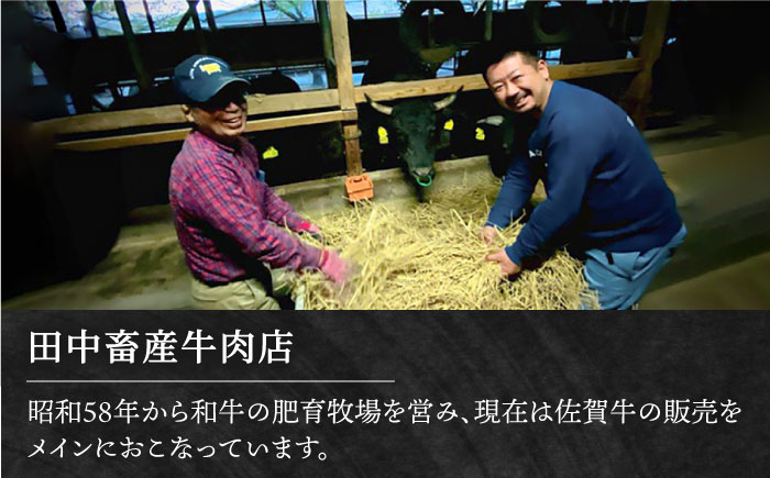 【全6回定期便】【隔月発送】佐賀牛 サーロインステーキ 1.0kg（250g×4枚）【田中畜産牛肉店】 [HBH127]