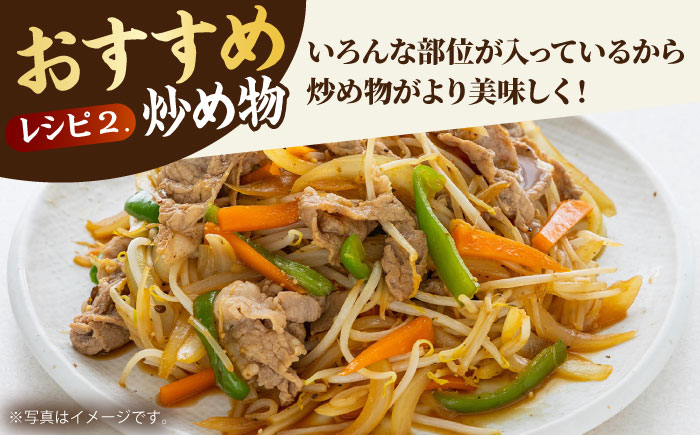 【全6回定期便】佐賀牛 切り落とし 500g【田中畜産牛肉店】 [HBH131]