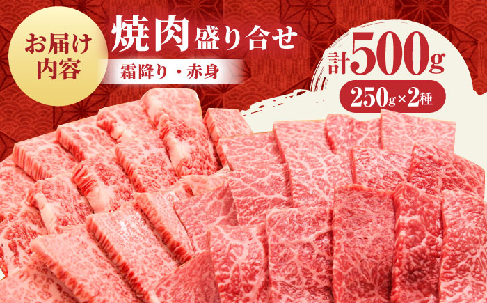 【2度の農林水産大臣賞】 佐賀牛 焼肉 盛り合わせ 500g（霜降り・赤身 各250g）【田中畜産牛肉店】 黒毛和牛 バーベキュー BBQ [HBH160]