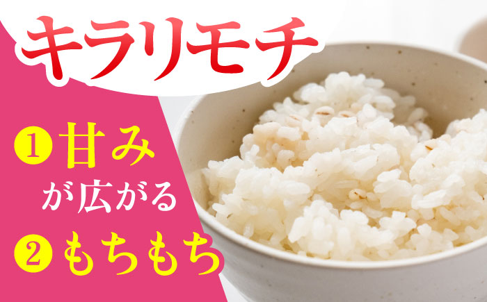 【プチプチのもち麦】キラリモチ 2kg（1kg×2袋）【大塚米穀店】 [HBL017] 麦 雑穀 雑穀米