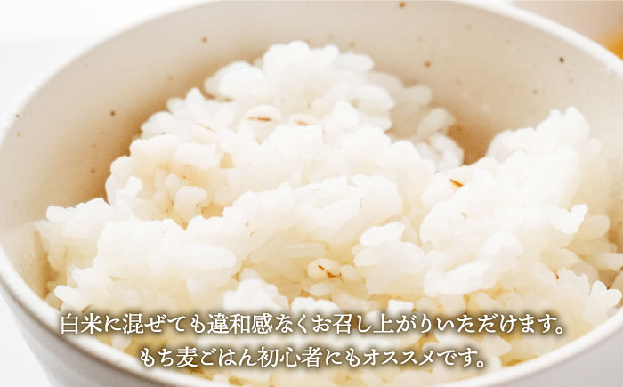 【全6回定期便】もち麦 キラリモチ 2kg（1kg×2袋）【大塚米穀店】 [HBL038] 麦 雑穀 雑穀米