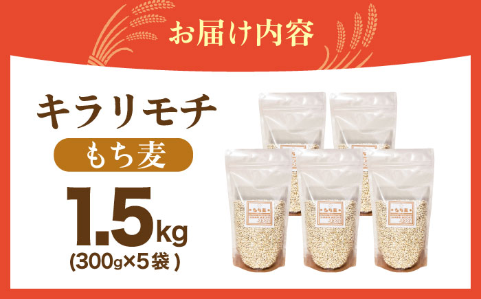 【プチプチのもち麦】 キラリモチ 1.5kg （300g×5袋）【大塚米穀店】 雑穀 雑穀米 佐賀 [HBL084]