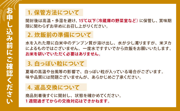 【全12回定期便】 さがびより 無洗米 3kg（3kg×1袋）【五つ星お米マイスター厳選】 特A米 特A評価 [HBL097]