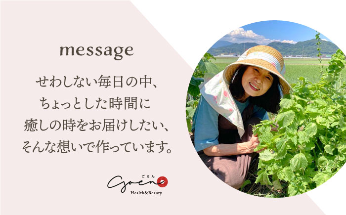 フルーツティー＆ハーブティーセット 計4袋【Goenヘルス&ビューティー】 [HBQ001]飲料 お茶