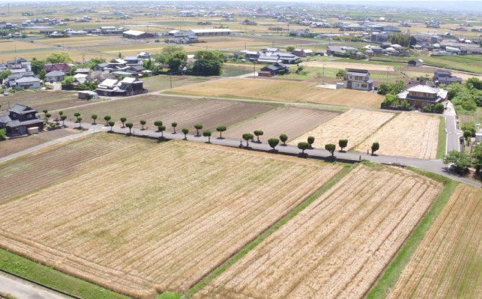 バイリンガル絵本「馳け巡る?ぼくのまちのやぶさめ?」【CLUB RIO】 [HBY001]雑貨 インテリア