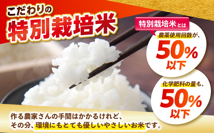 【全3回定期便】特別栽培米 白米 さがびより 4kg【北原農園】 [HCA010]