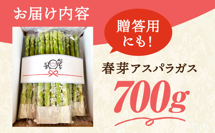 【新鮮でみずみずしい】春芽アスパラガス 700g【けいちゃん農園】 [HCC005]