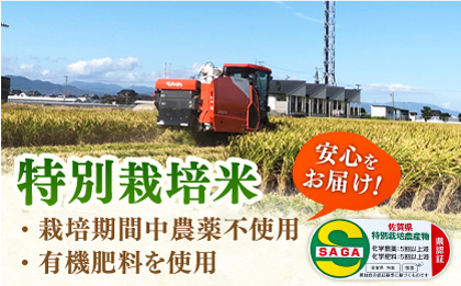 令和7年産 新米 ももちゃんちのお米 さがびより 玄米 5kg 【ももさき農産】 [HCG004]