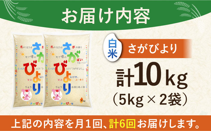 【全6回定期便】さがびより 白米 10kg（5kg×2袋）【株式会社 JA食糧さが】 [HCM003]