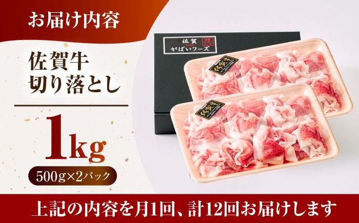 ＜全12回定期便＞佐賀牛切り落とし 1kg（500g×2パック）【がばいフーズ】佐賀牛 すき焼き しゃぶしゃぶ [HCS034]