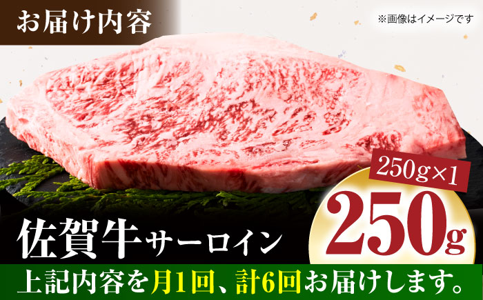 ＜全6回定期便＞佐賀牛サーロインステーキ 250ｇ【がばいフーズ】A5ランク 佐賀牛 牛肉 [HCS054]