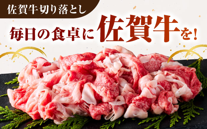 佐賀牛 日常使いセット ＜ハンバーグ150g×6個・切り落とし500g＞【がばいフーズ】A5 A4 佐賀牛 切り落とし 牛肉 [HCS072]