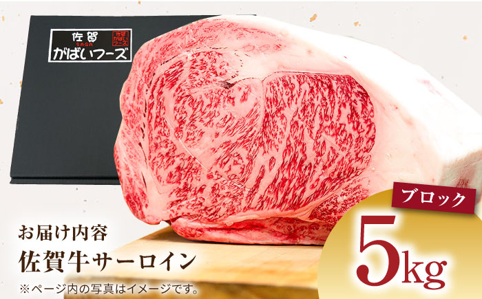 佐賀牛サーロインブロック 5kg【がばいフーズ】A5ランク 佐賀牛 [HCS109]