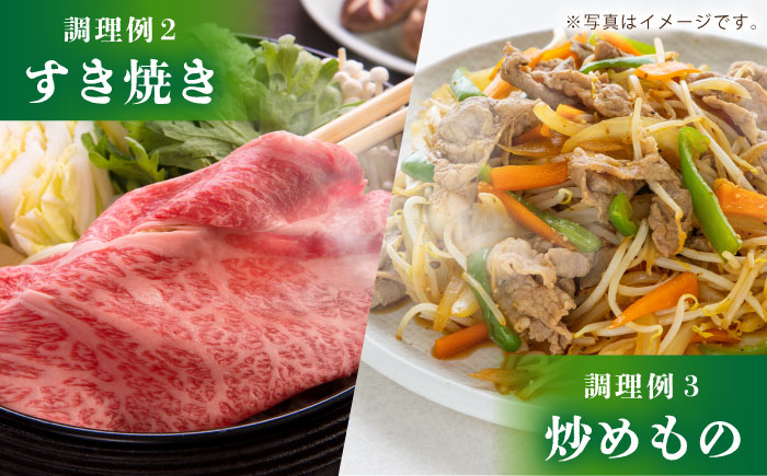 佐賀牛 薄切りセット（モモ/カタ赤身/ロース）【吉祥】 [HCW001] 牛肉