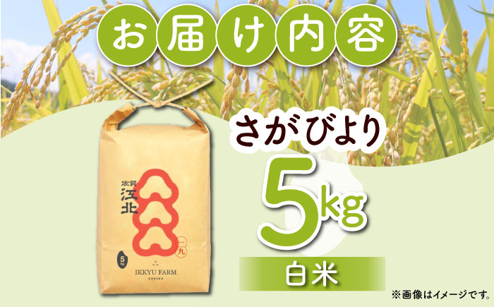 【ご飯でご飯が食べられる！】令和7年産 さがびより 白米 5kg（一等米）【一九FARM】 [HDC001]